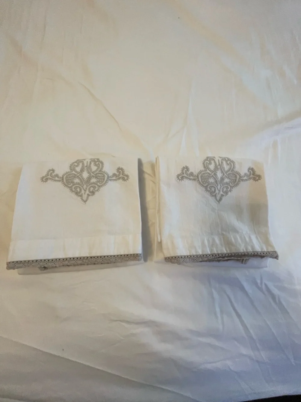 Pottery Barn Decorative Cotton Guest Hand Towels - Set of 2